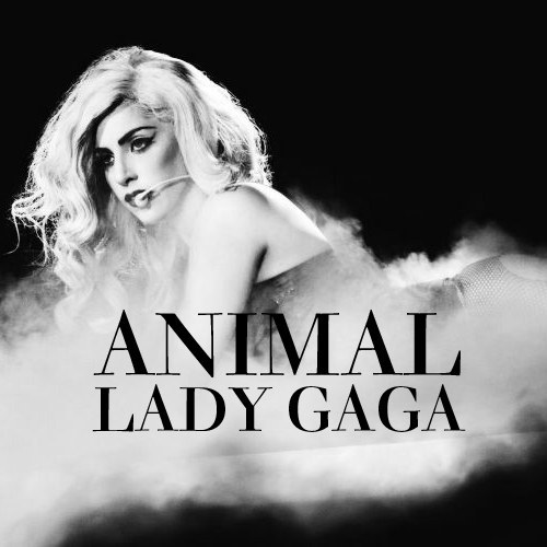 Animal