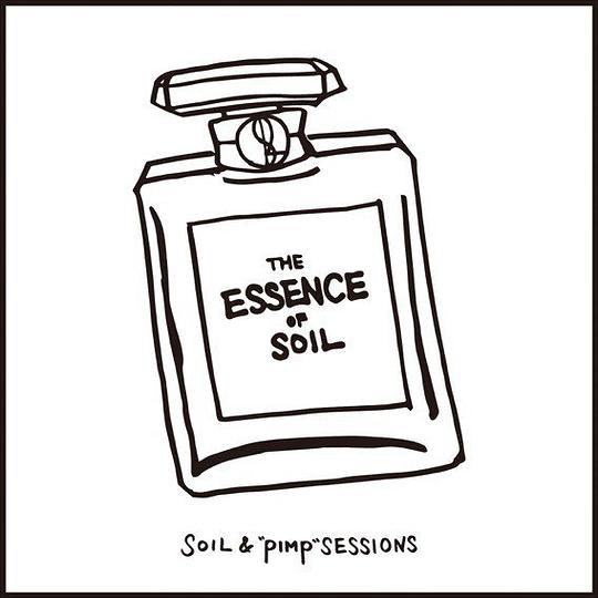 THE ESSENCE OF SOIL