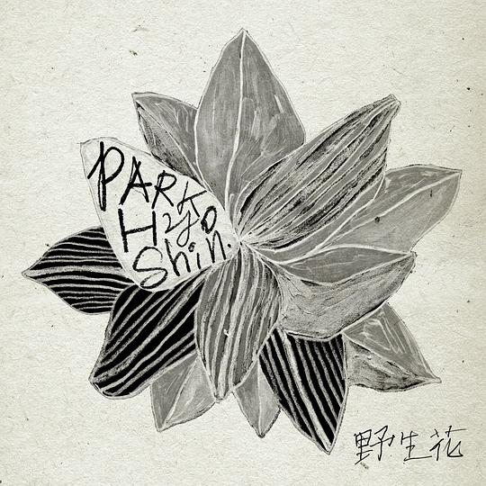 野生花