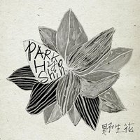 野生花