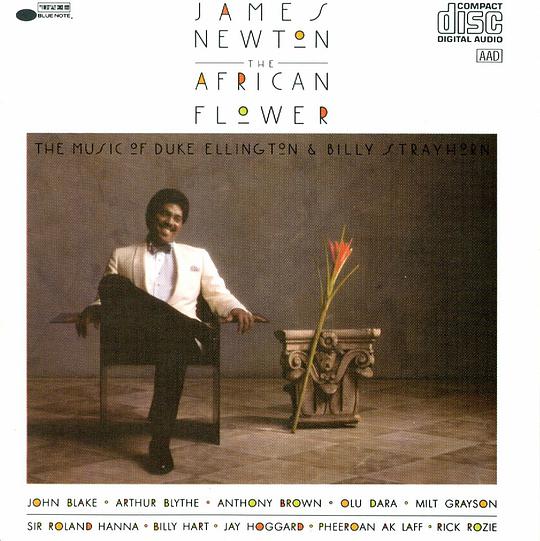 The African Flower