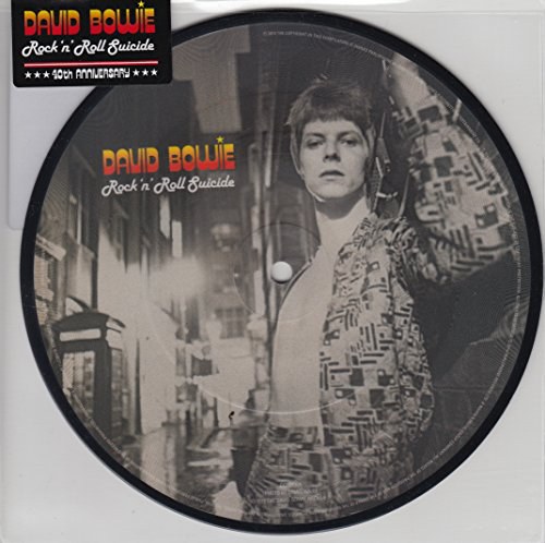Rock'n'Roll Suicide [VINYL]