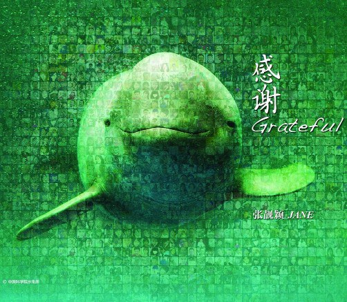 感谢
