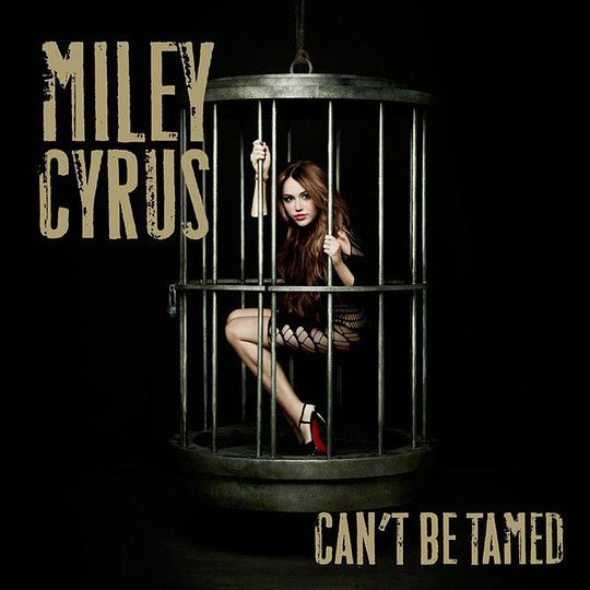 Can't Be Tamed (2-Track)