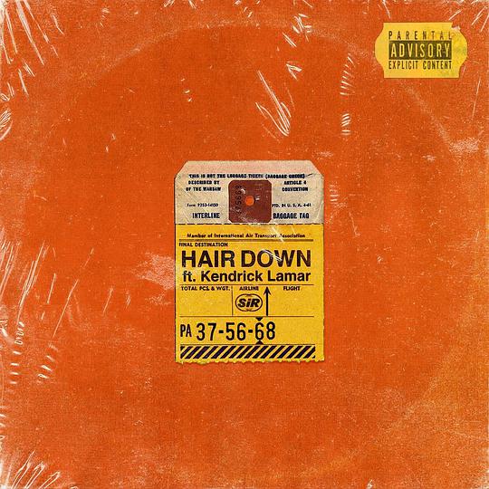 Hair Down