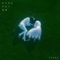 无可替代的世界