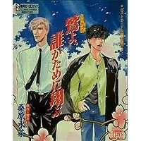 炎の蜃気楼 鷲よ誰がために翔ぶ