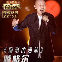 隐形的翅膀