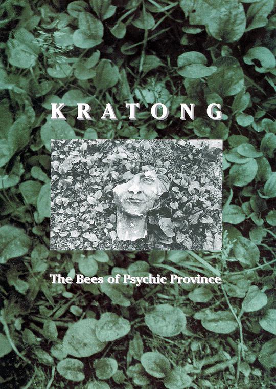 The bees of psychic province