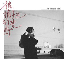 被拥抱的荒岛