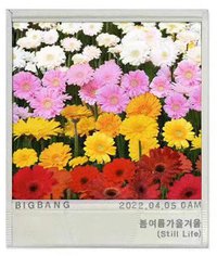 春夏秋冬(Still Life)