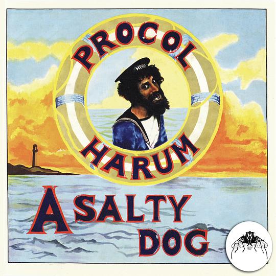 A Salty Dog