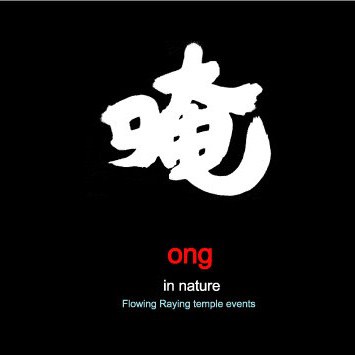 流动小雷音事件