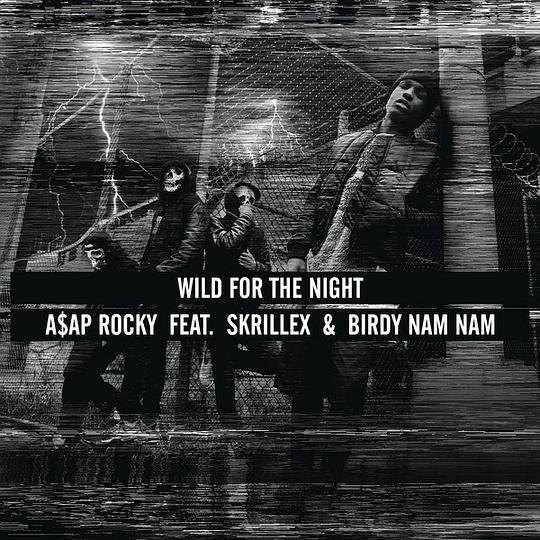 Wild For the Night (feat. Skrillex & Birdy Nam Nam) – Single