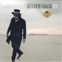 Fly