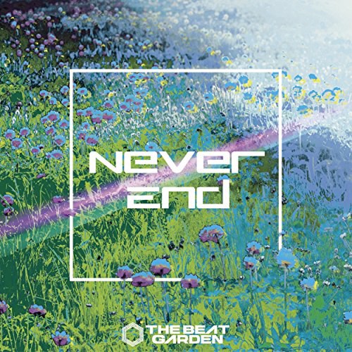 Never End(初回限定盤B)(DVD付)