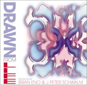 Drawn from Life