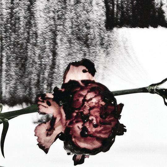 Who Do We Think We Are (feat. Rick Ross) – Single