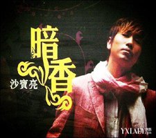 沙宝亮暗香精选<晶致>(2碟装)