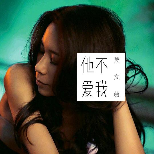 他不爱我