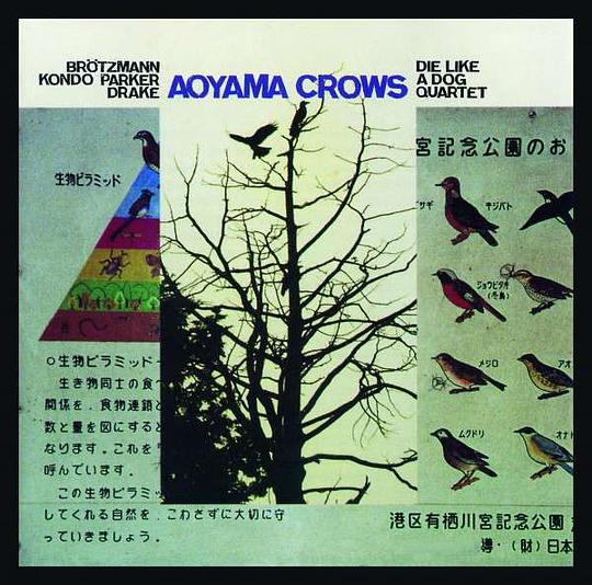 Aoyama Crows