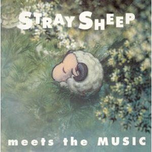 STRAY SHEEP meets the MUSIC