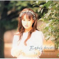 Baby’s Breath