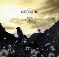 camomile
