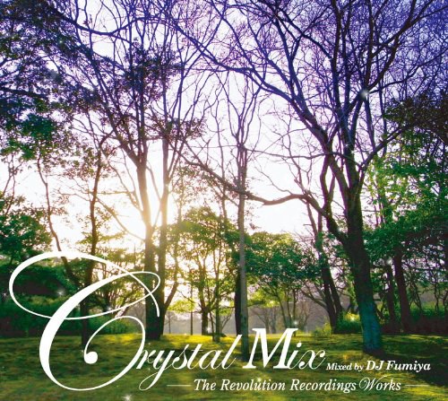 Crystal Mix-The Revolution Recordings Works-