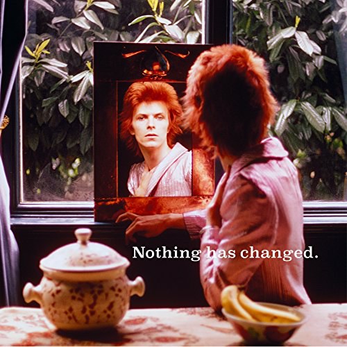 Nothing Has Changed [VINYL]