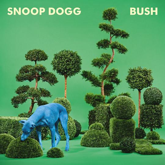 bush