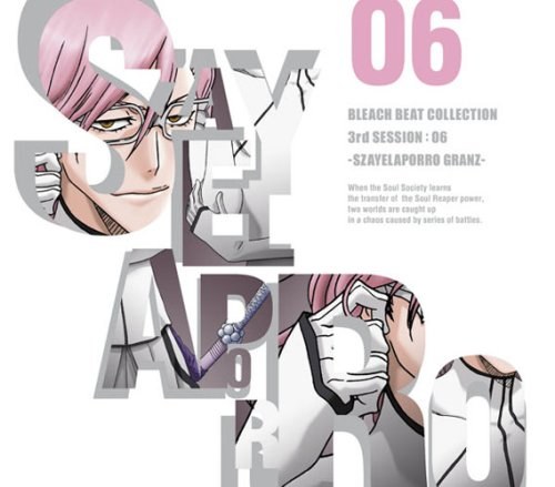 Vol. 6-Bleach Beat Collection 3rd Session