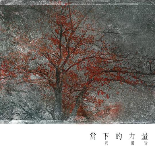 当下的力量