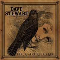 The Blackbird Diaries