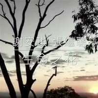 生命之花