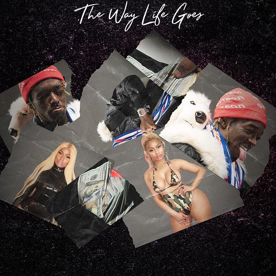 The Way Life Goes (Remix)