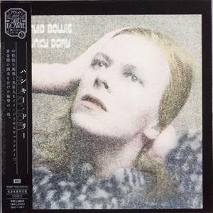 Hunky Dory