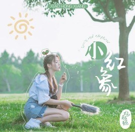 小红象
