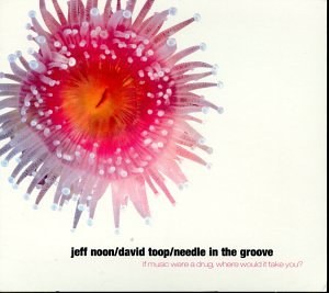 Needle in the Groove