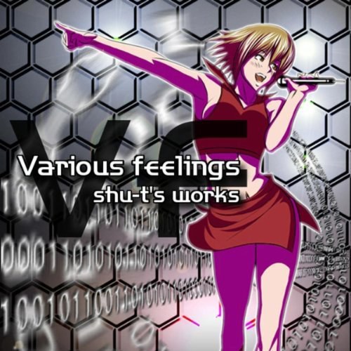 Various feelings ~shu-t's works~