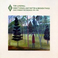 Insect Wings, Leaf Matter & Broken Twigs - Early Ambient Recordings: 1991-1994