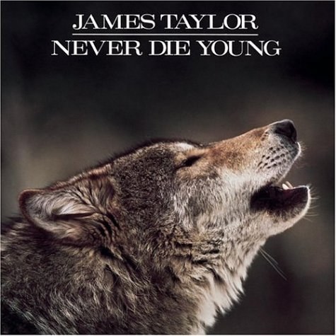 Never Die Young
