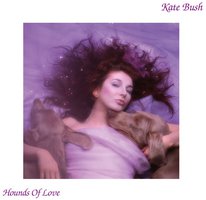 Hounds Of Love