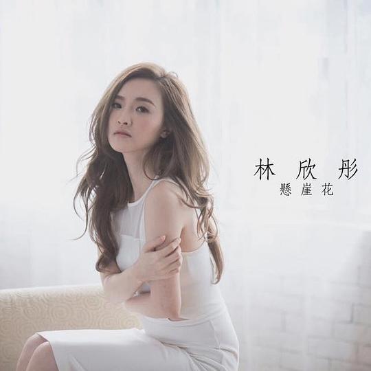 悬崖花