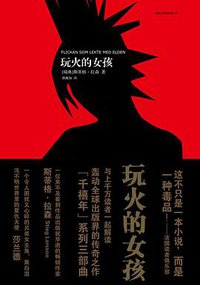 玩火的女孩 (人民文学出版社 2010)