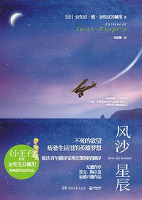 风沙星辰 (湖南文艺出版社 2012)