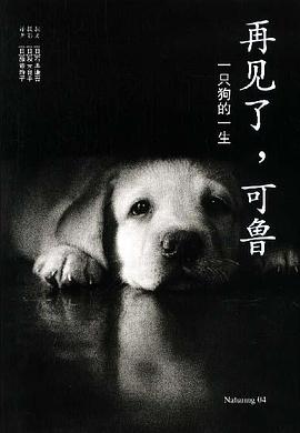 再见了,可鲁