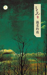 温柔的夜 (北京十月文艺出版社 2007)