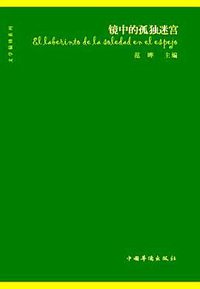 镜中的孤独迷宫 (中国华侨出版社 2008)