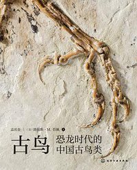古鸟 (悦读名品 | 化学工业出版社 2018)